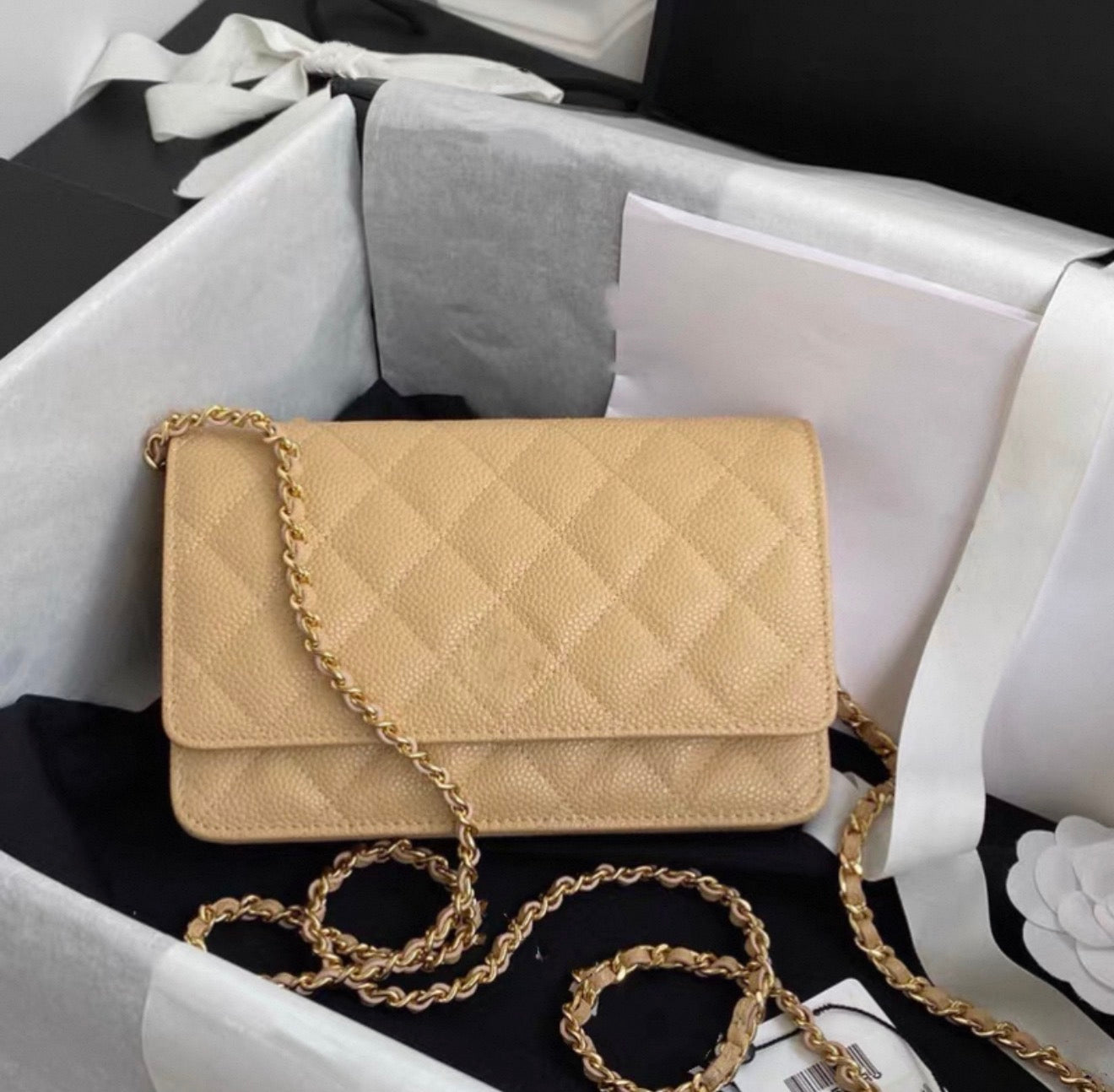 A20 Genuine Leather Wallet On Chain Bag